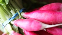 Ridichea: O legumă cu beneficii surprinzătoare pentru sănătate